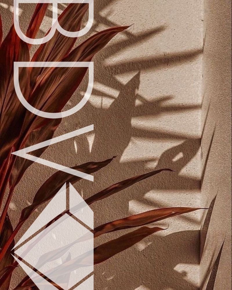 Black Diamond Voyage