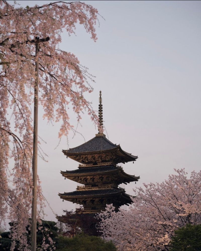 Black Diamond Voyage